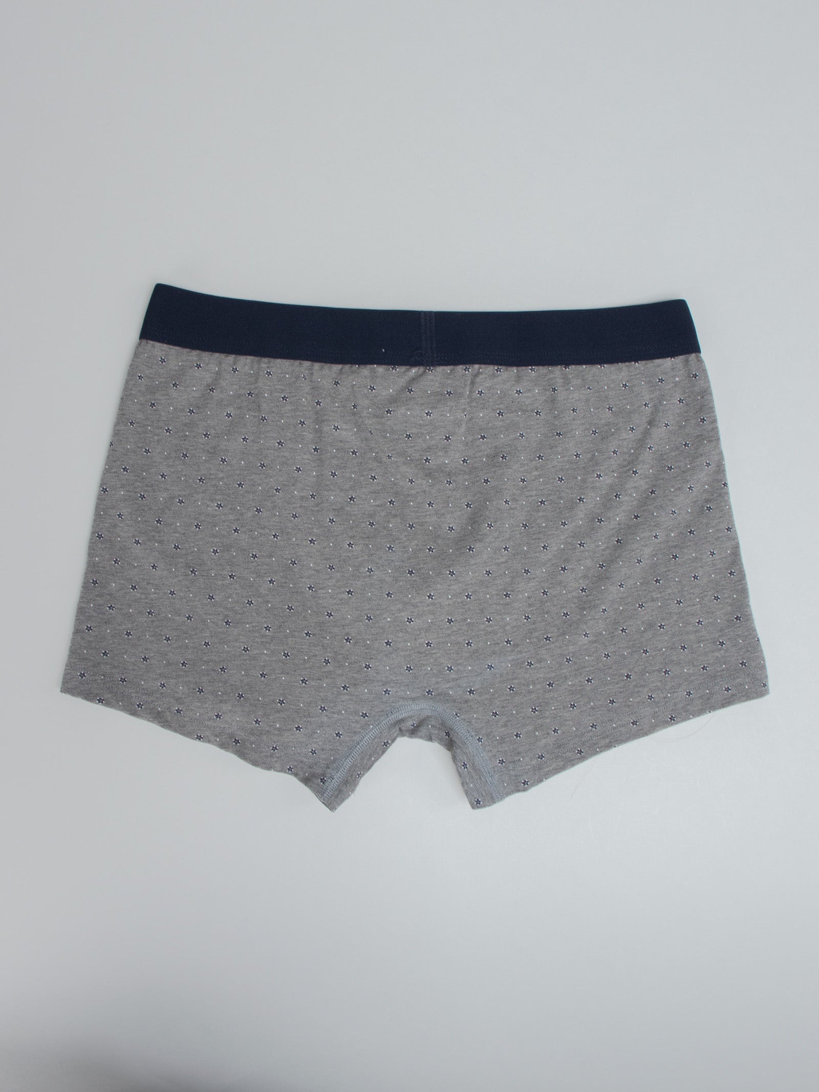 Boxer Trunks with Micro Design